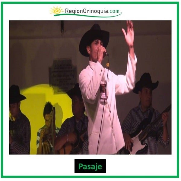 pasaje llanero