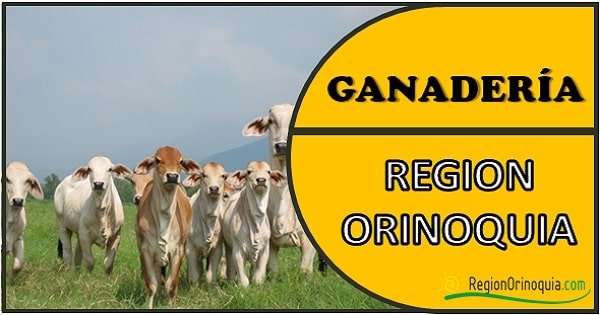 Ganaderia en Colombia