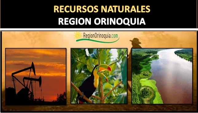 Recursos naturales de la region de la orinoquia colombiana