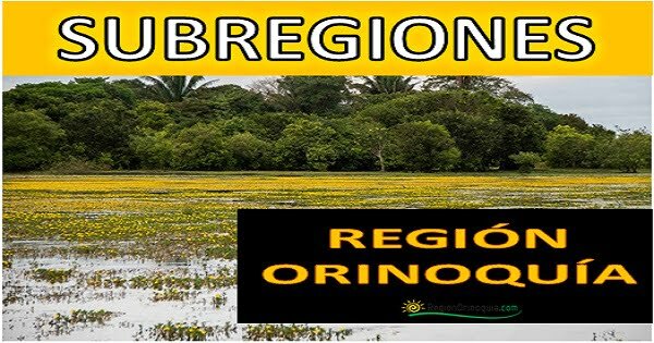 Subregiones de los llanos orientales de Colombia