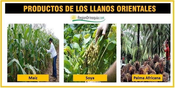 productos de la region orinoquia