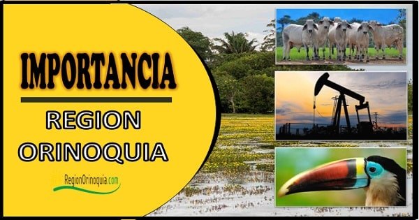 Cual es la importancia de la region Orinoquia en Colombia