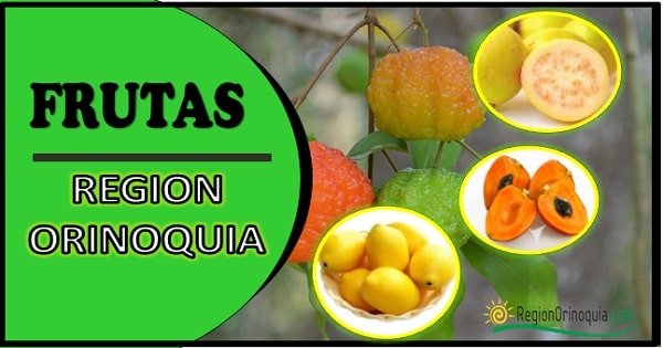 Frutas de la region Orinoquia